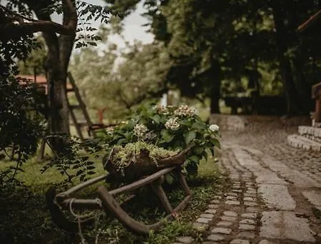 Mir Πανσιόν Τούζλα